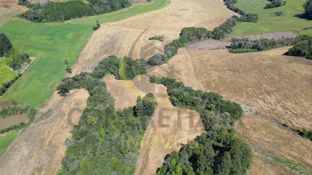 ÁREA DE TERRAS ART1328664