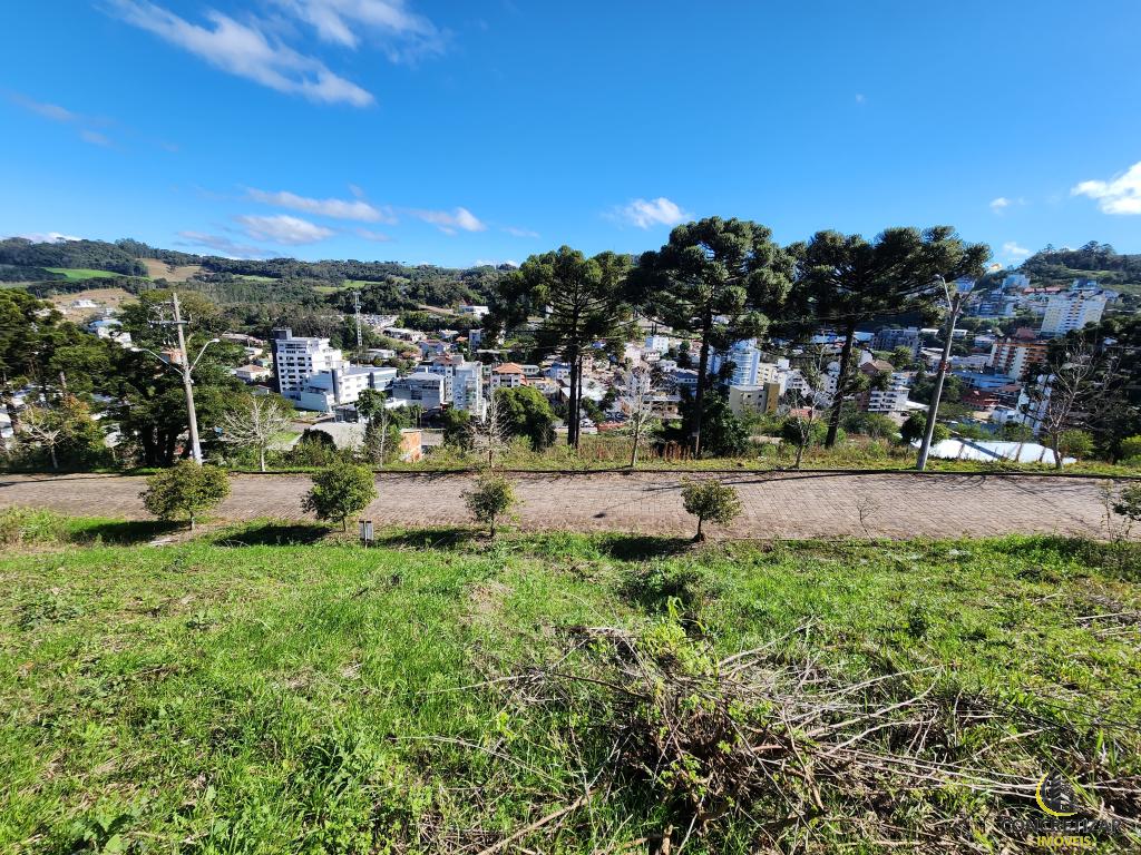TERRENO TER1329770