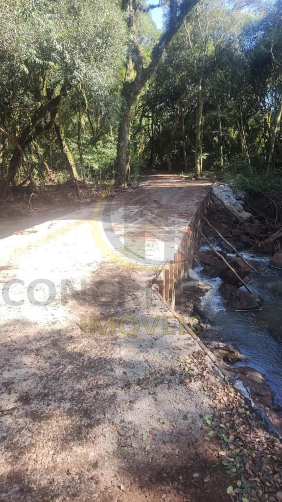 ÁREA DE TERRAS ART1328735