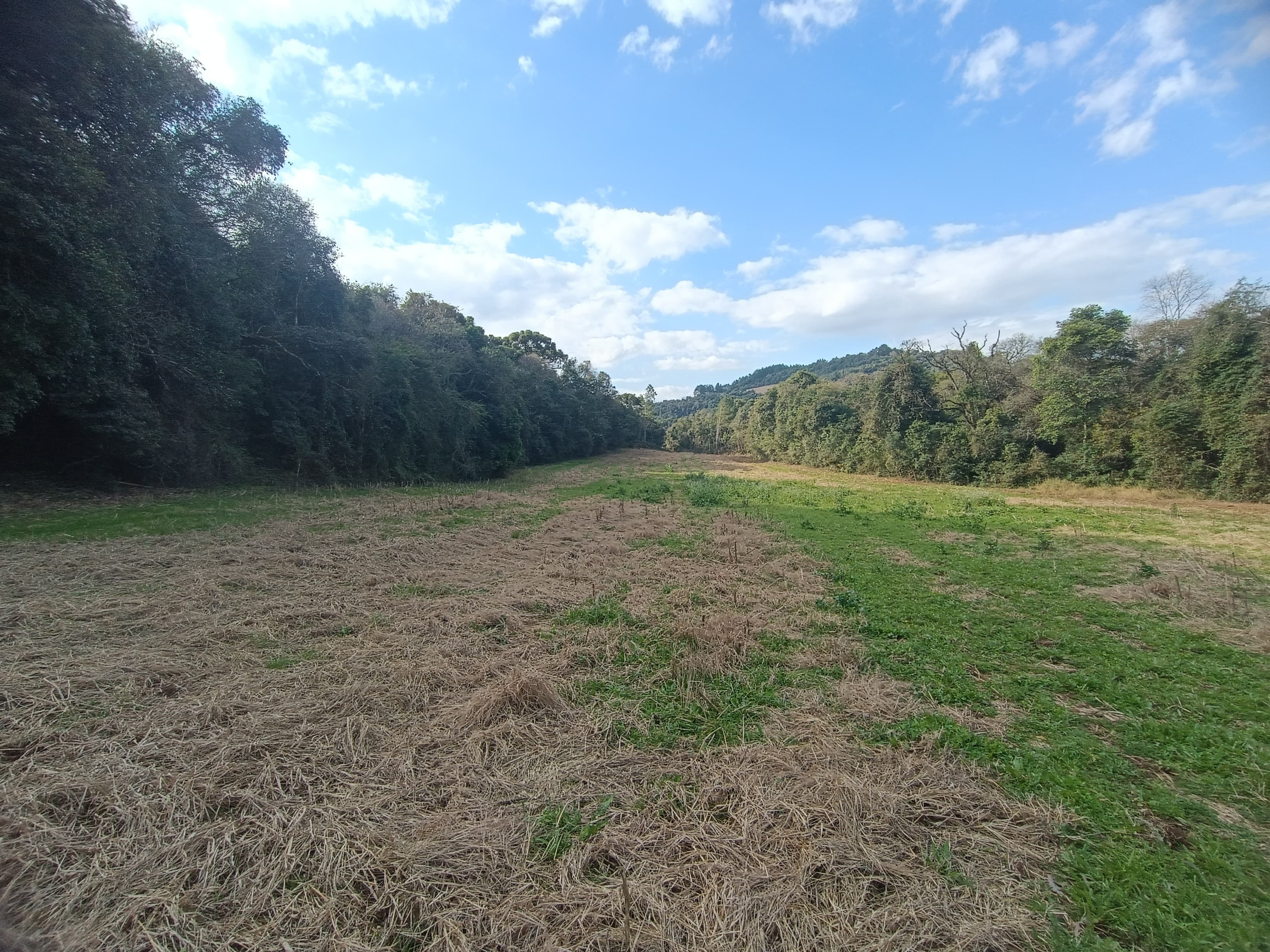 ÁREA DE TERRAS ART1328434