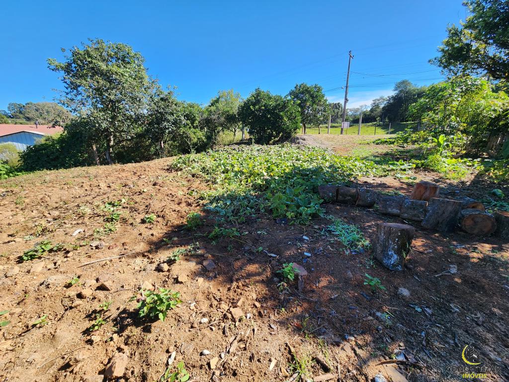 TERRENO TER1329591