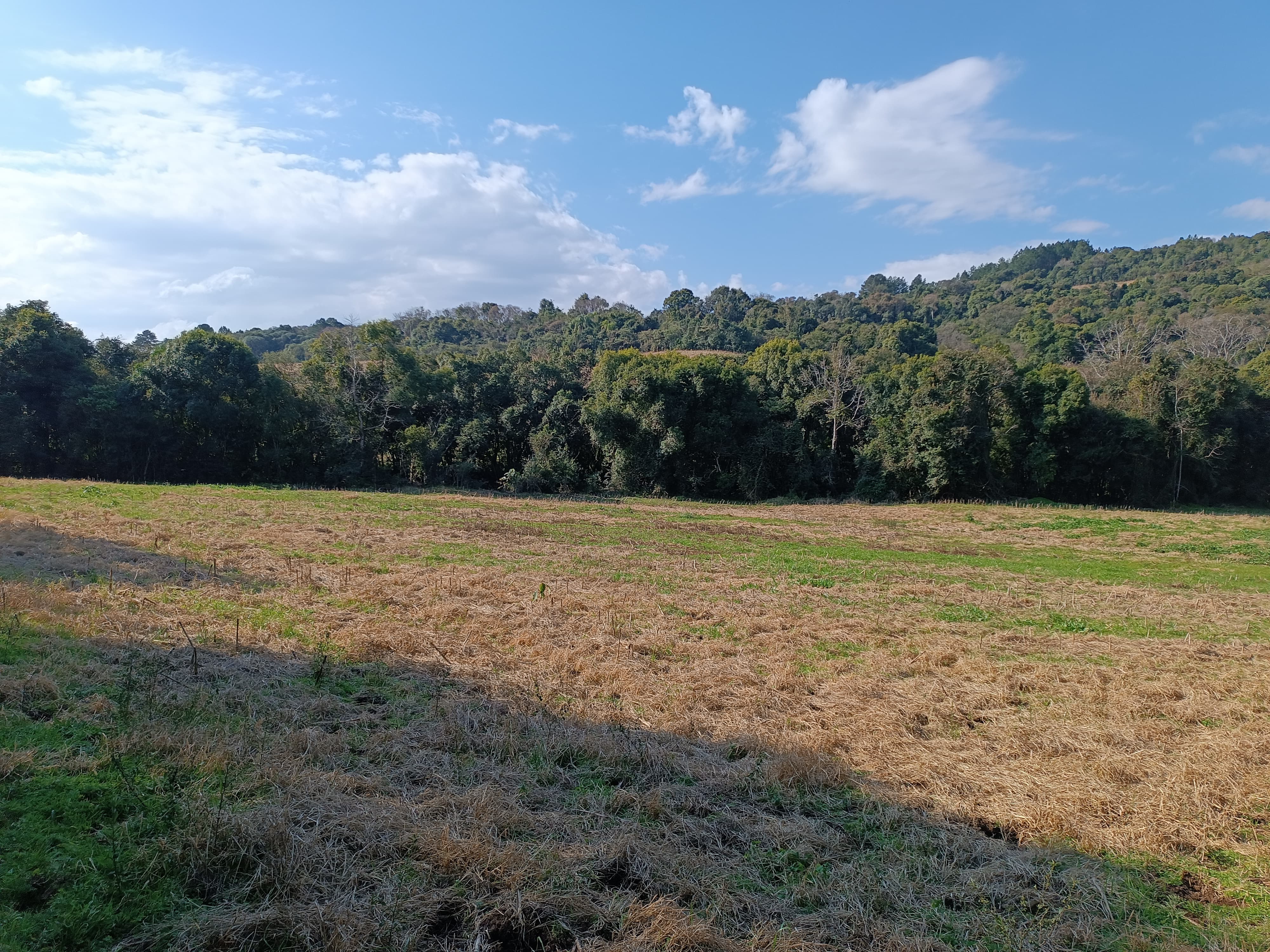 ÁREA DE TERRAS ART1328434