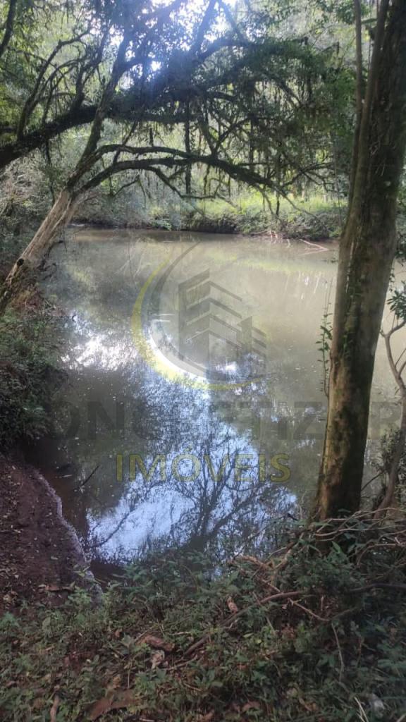 ÁREA DE TERRAS ART1328735