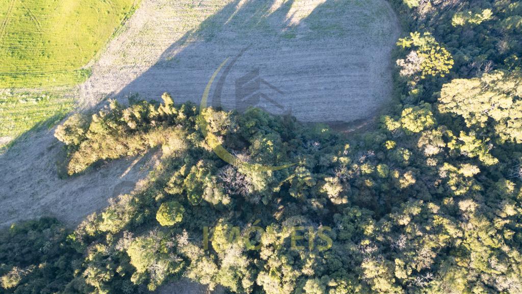 ÁREA DE TERRAS ART1328587