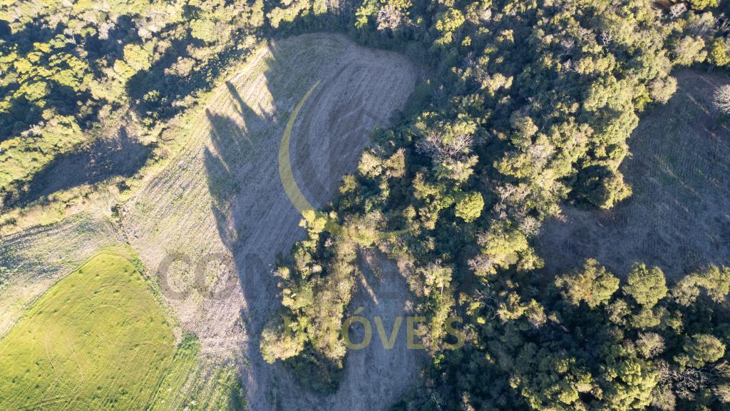 ÁREA DE TERRAS ART1328587