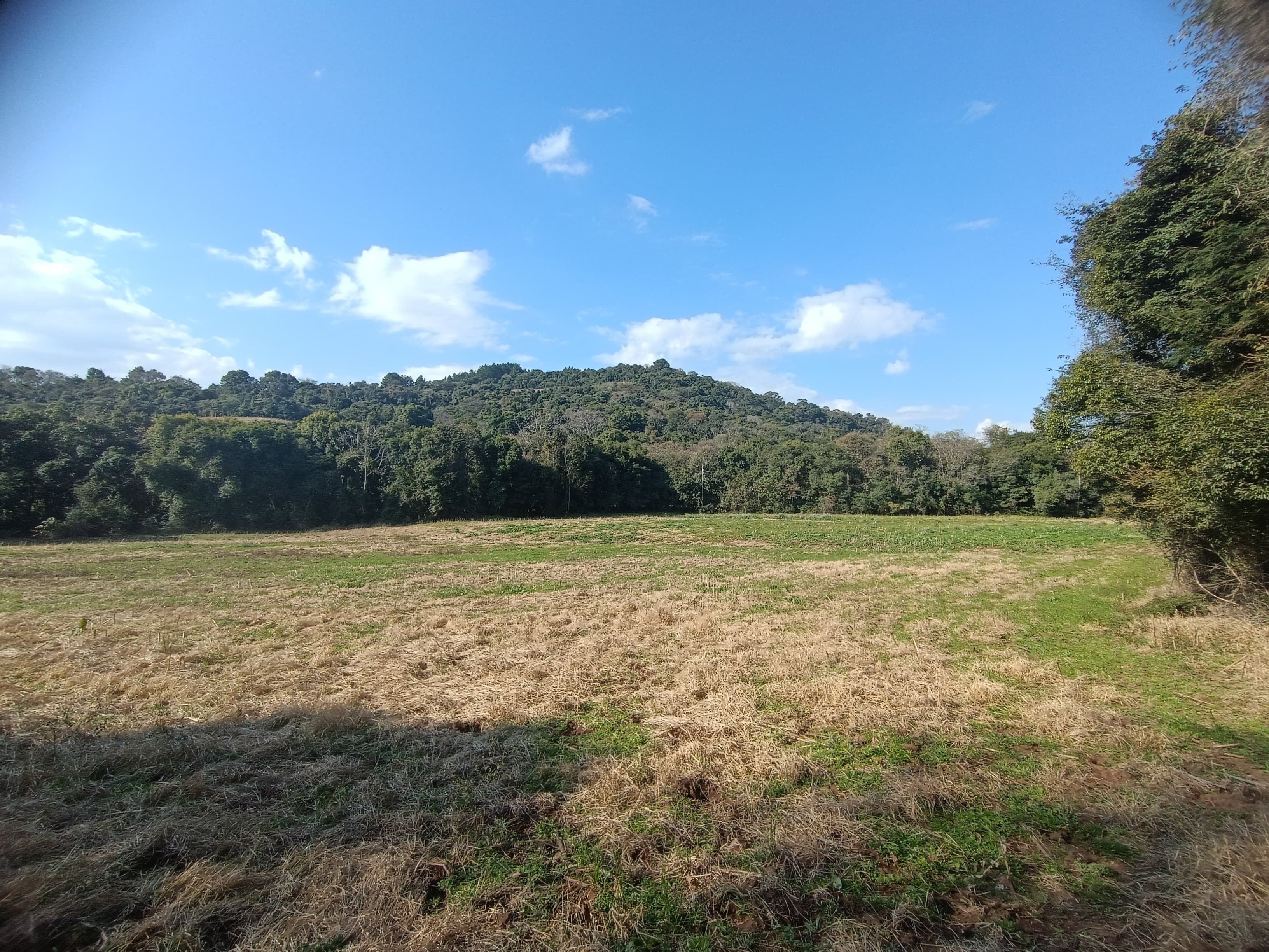 ÁREA DE TERRAS ART1328434