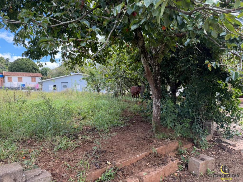 CASA CAS1329441