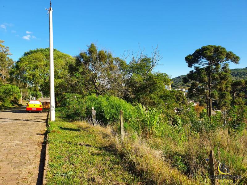 LOTEAMENTO LOT1025116