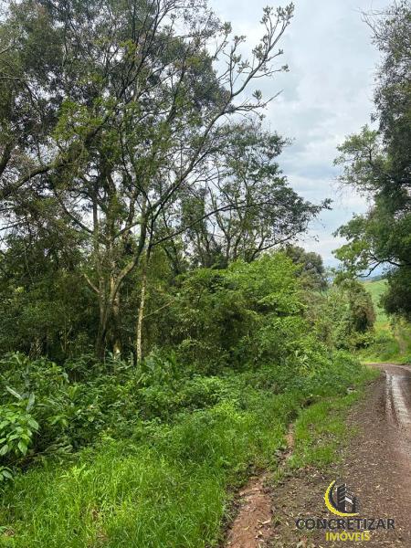 ÁREA DE TERRAS ART1245088