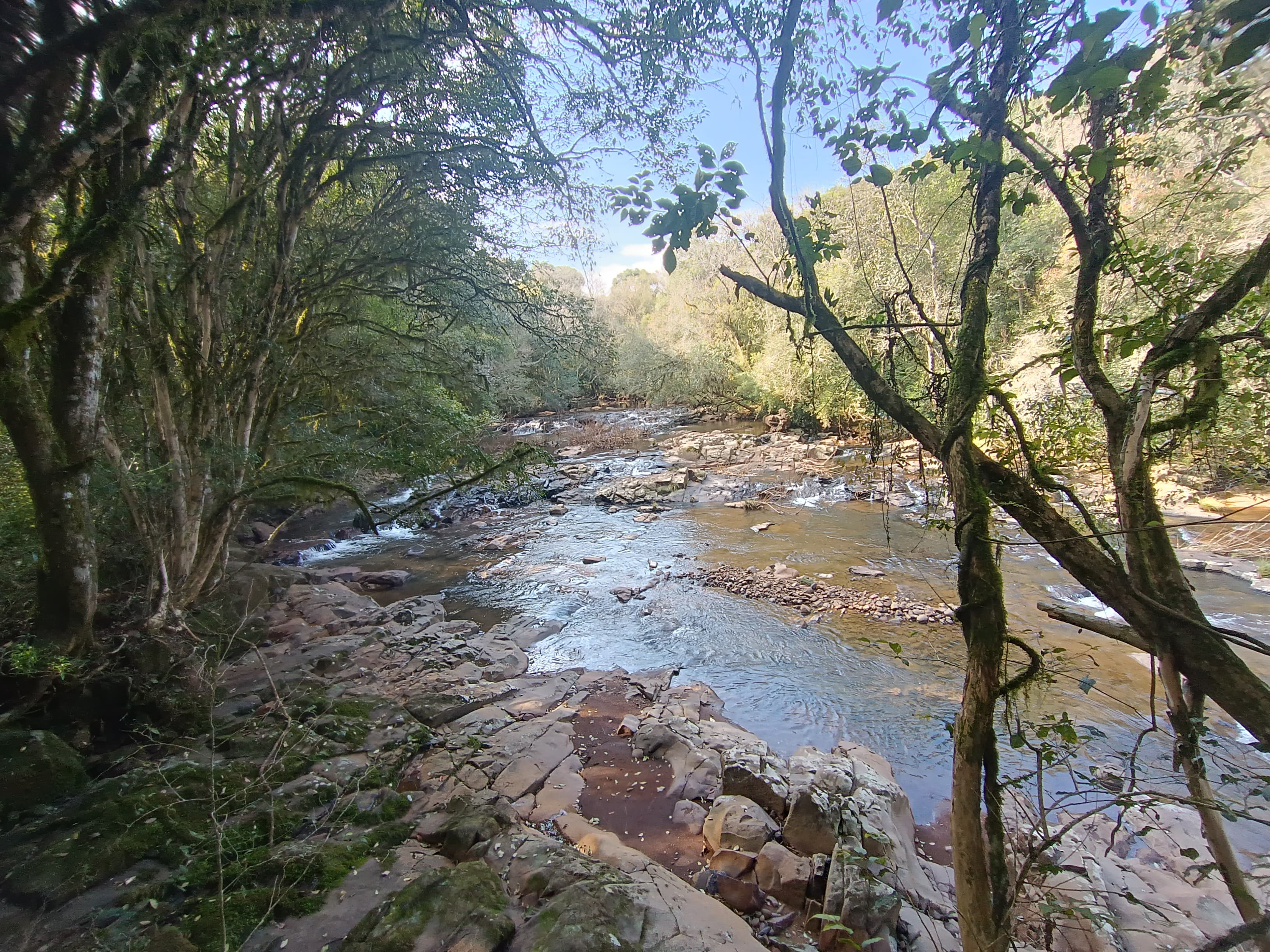 ÁREA DE TERRAS ART1328434