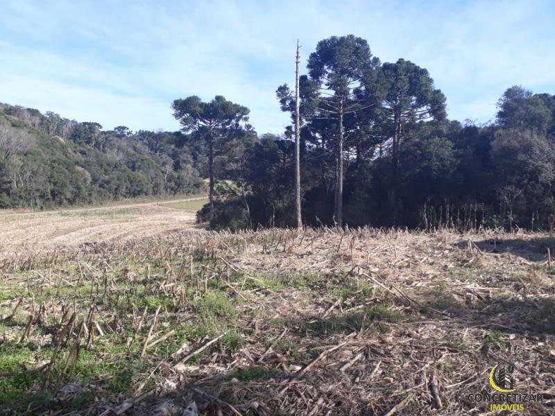 ÁREA DE TERRAS ART819733