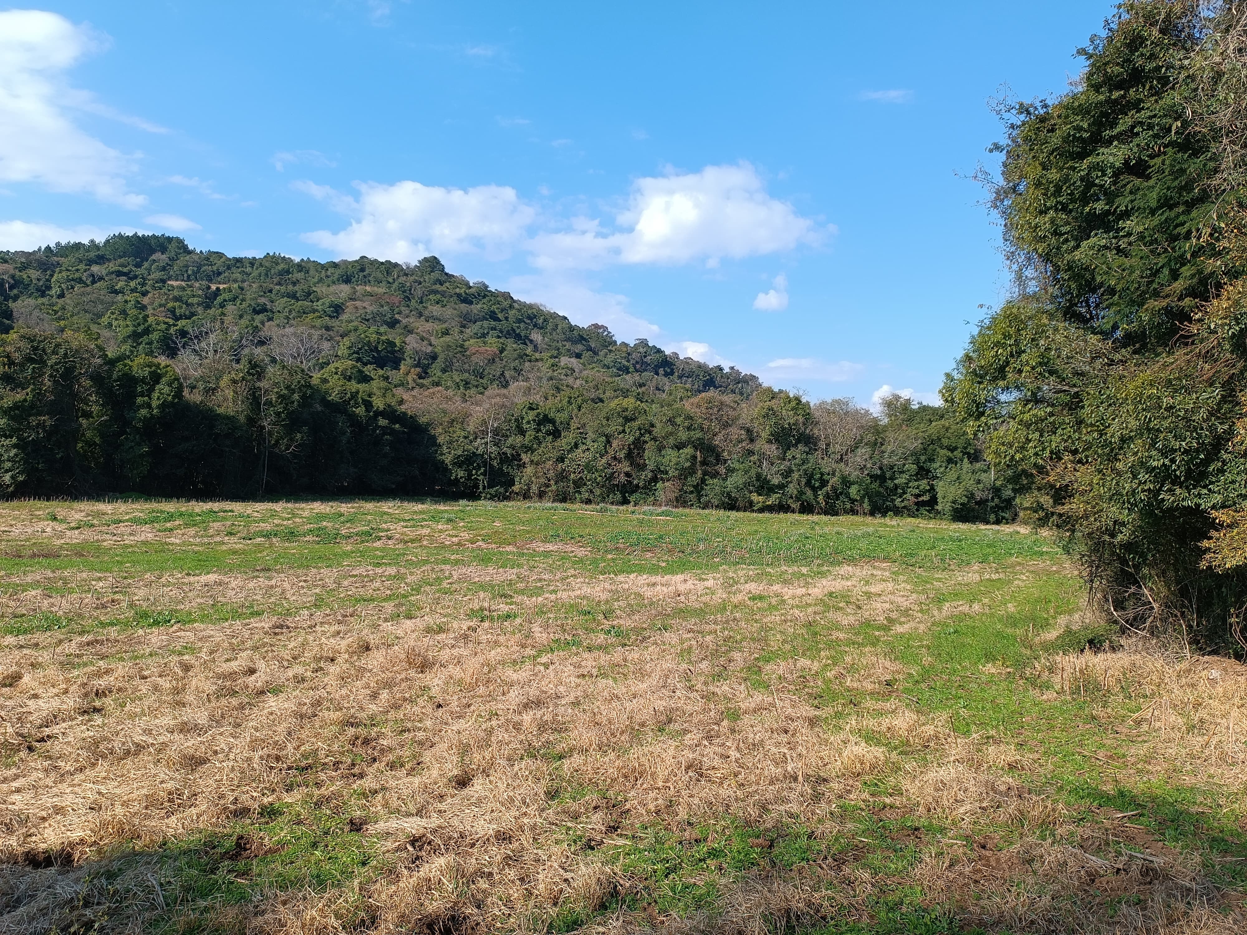 ÁREA DE TERRAS ART1328434