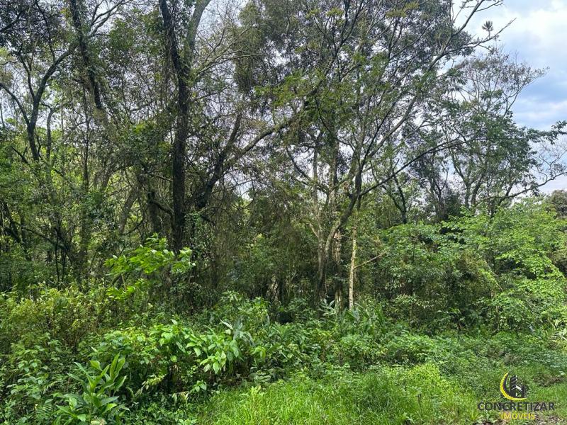 ÁREA DE TERRAS ART1245088