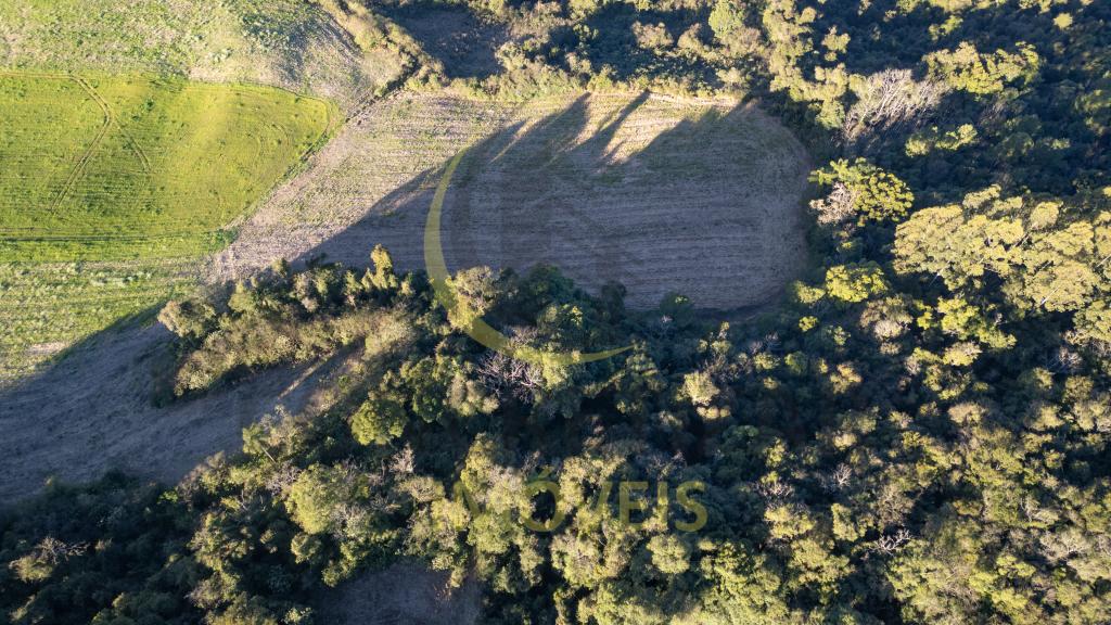 ÁREA DE TERRAS ART1328587