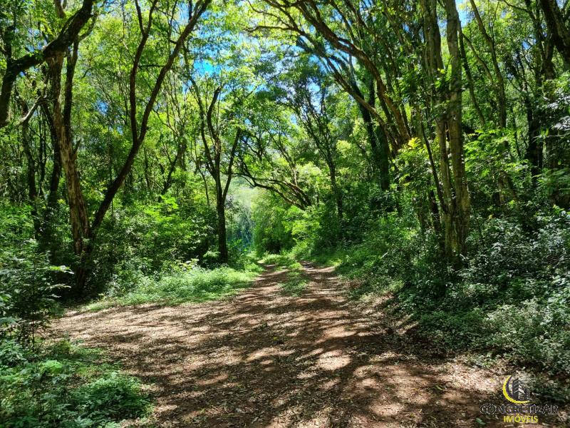 ÁREA DE TERRAS ART1175948