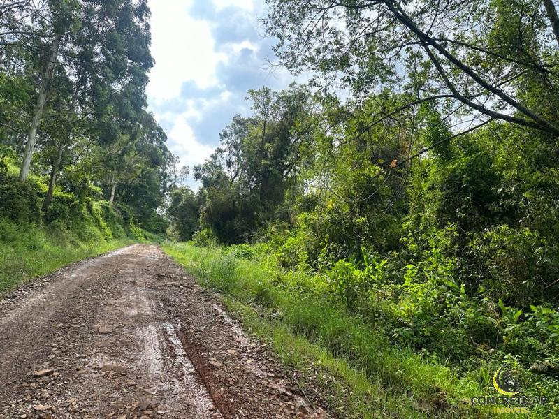 ÁREA DE TERRAS ART1245088