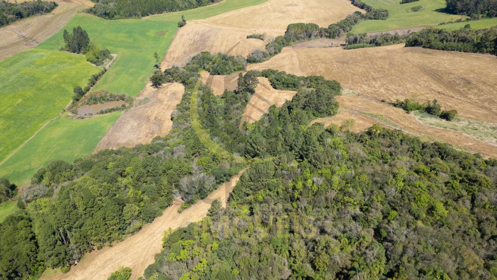 ÁREA DE TERRAS ART1328664