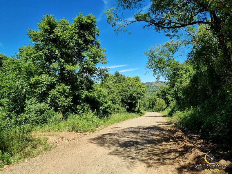 ÁREA DE TERRAS ART1175948