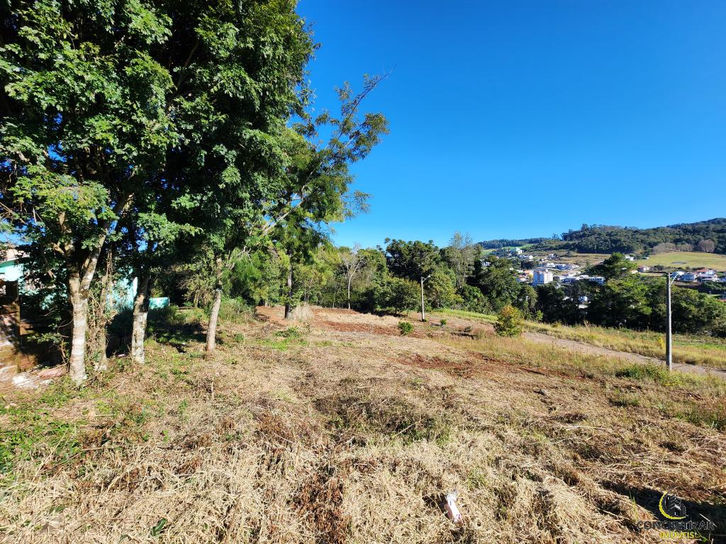 TERRENO TER1329692