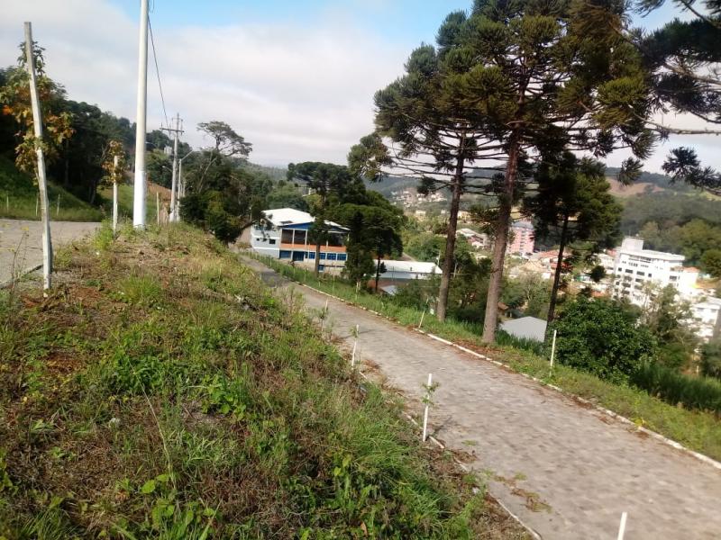 LOTEAMENTO LOT801066