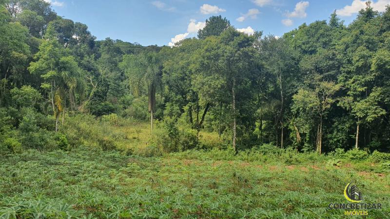 ÁREA DE TERRAS ART1108884