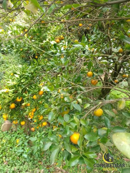 ÁREA DE TERRAS ART1245177