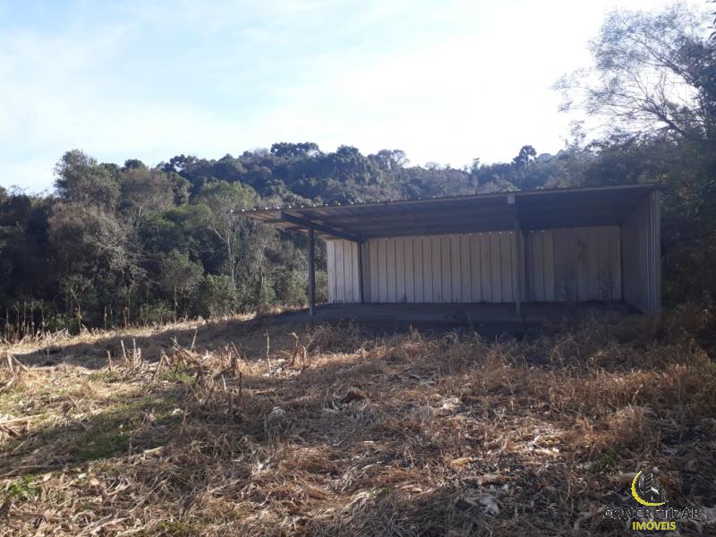 ÁREA DE TERRAS ART819733