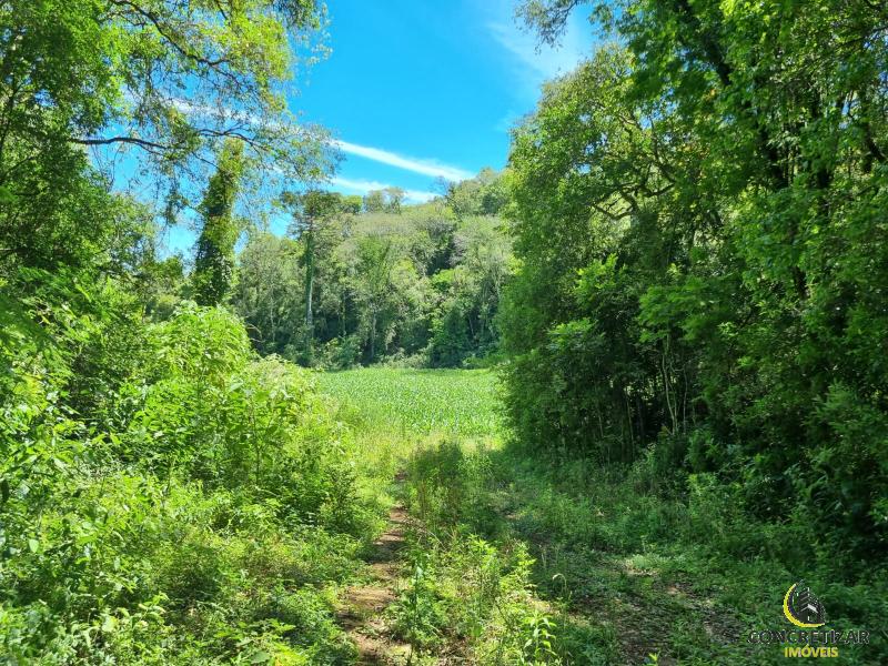 ÁREA DE TERRAS ART1175948