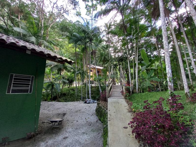 CASA CAS55008G