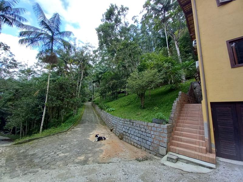 CASA CAS55008G