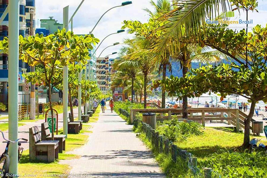 APARTAMENTO APT54972G