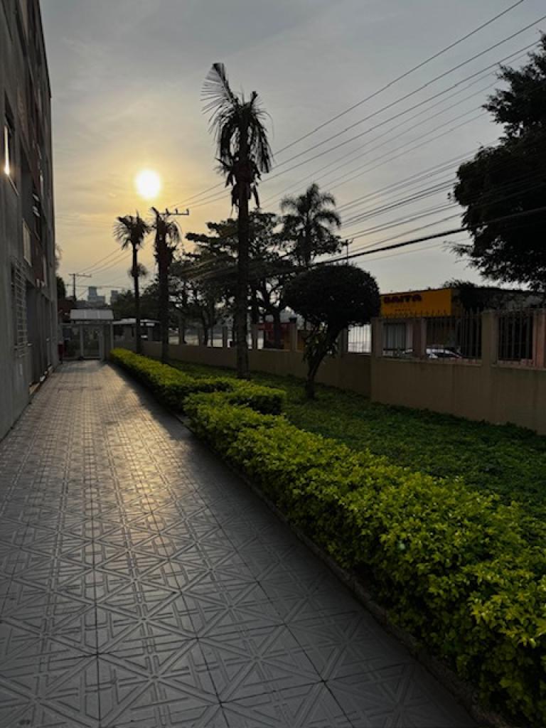 APARTAMENTO APT56913G