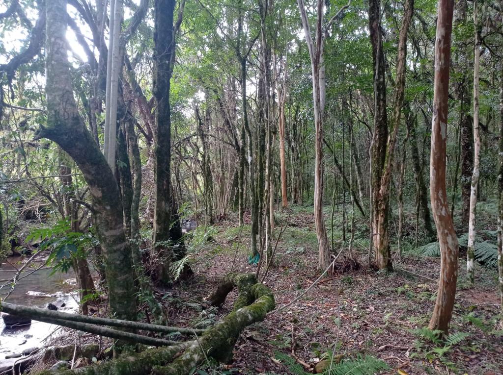CHÁCARA CHA1321528