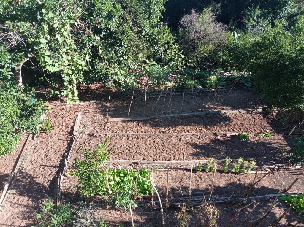 APARTAMENTO APT1329429