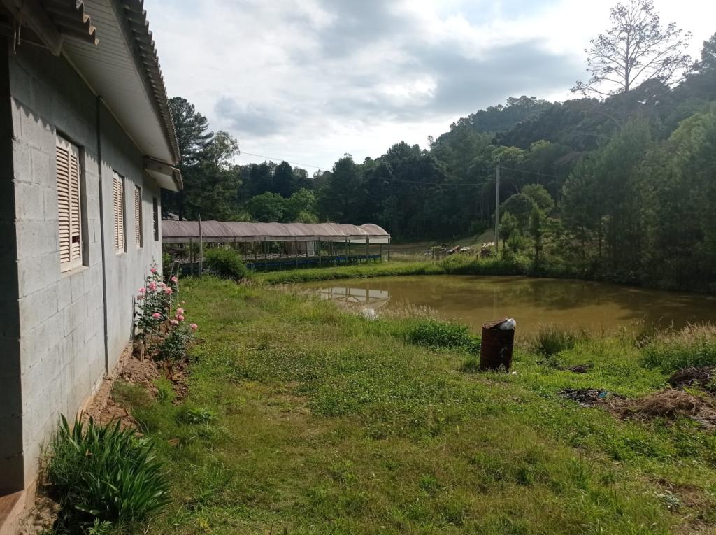 ÁREA DE TERRAS ART1328955