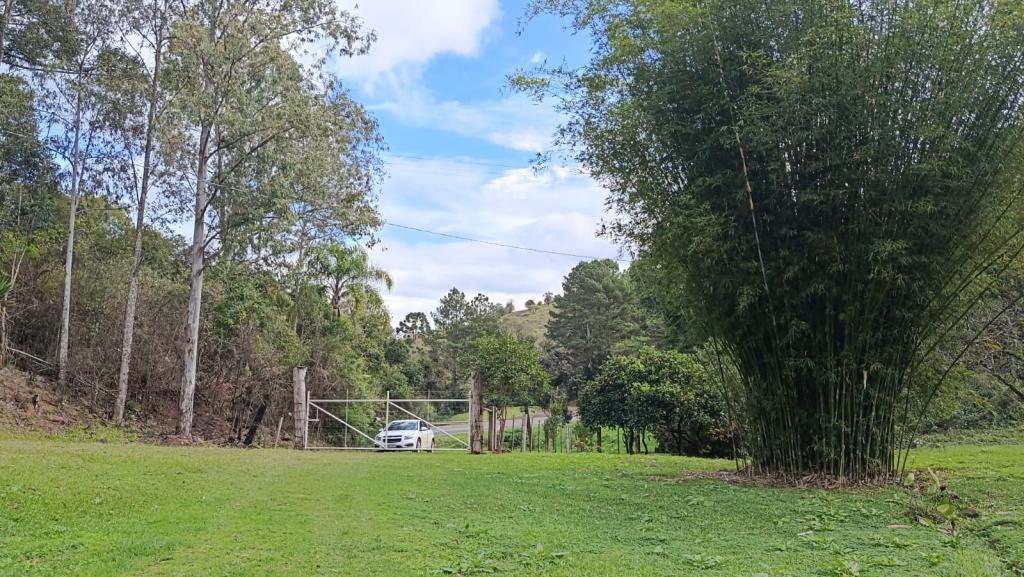 ÁREA DE TERRAS ART1329783