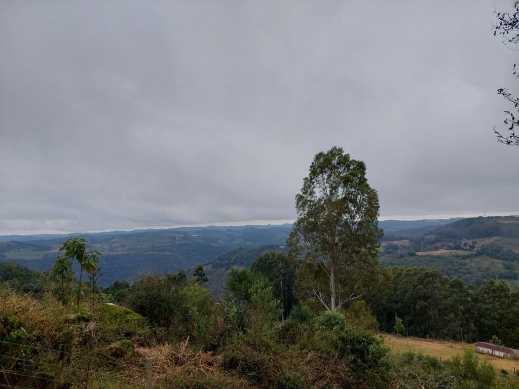 CHÁCARA - CHA1329330