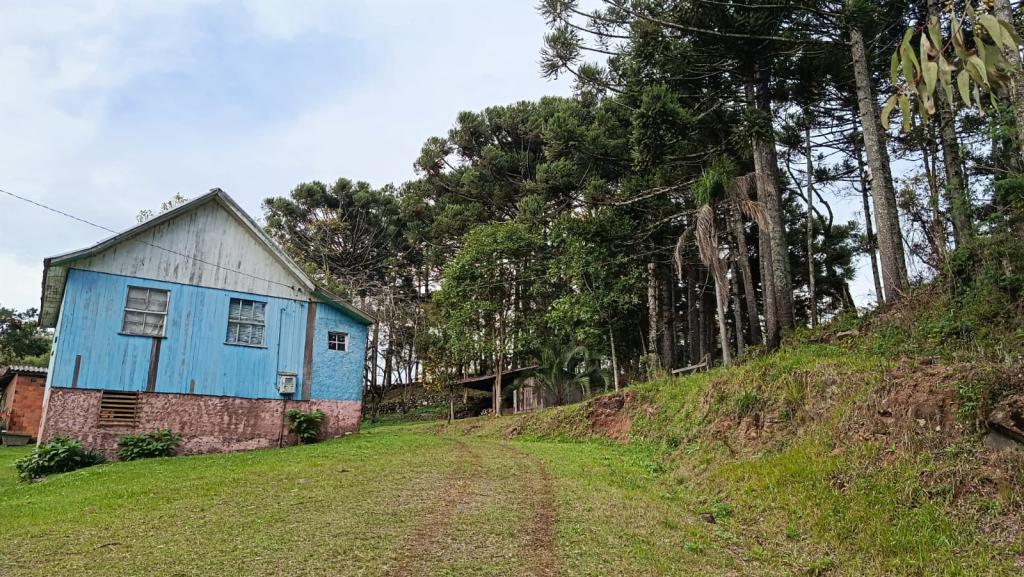 ÁREA DE TERRAS ART1329783