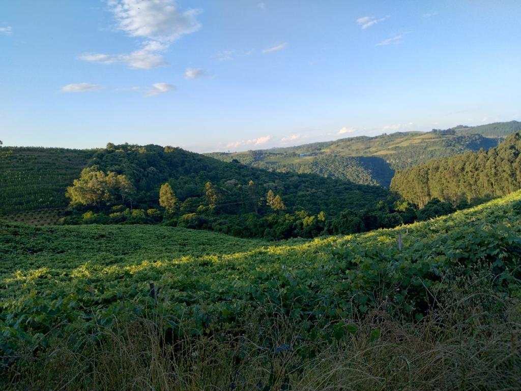 ÁREA DE TERRAS ART1328953