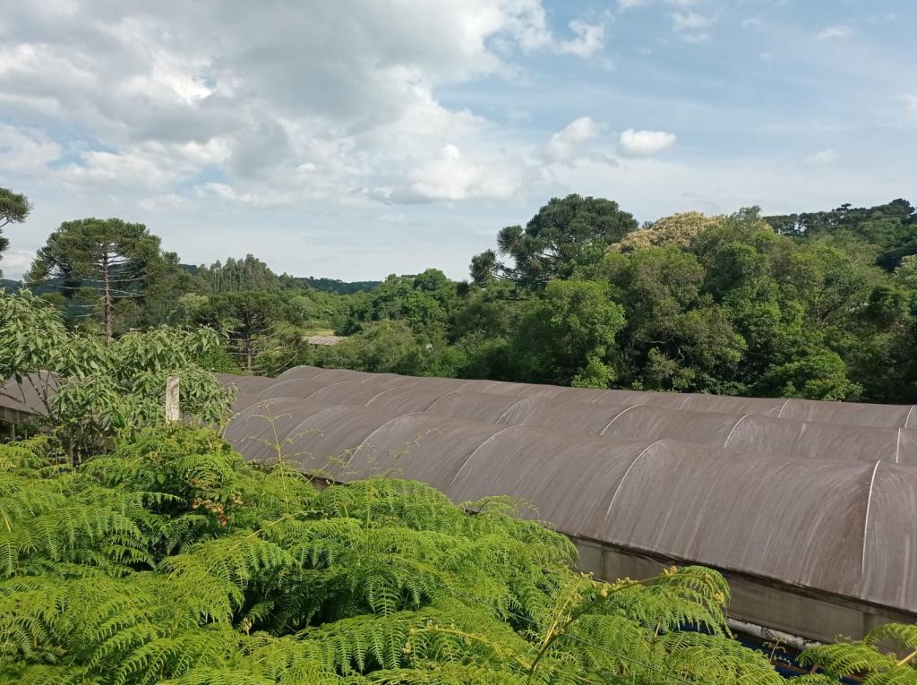 ÁREA DE TERRAS ART1328955