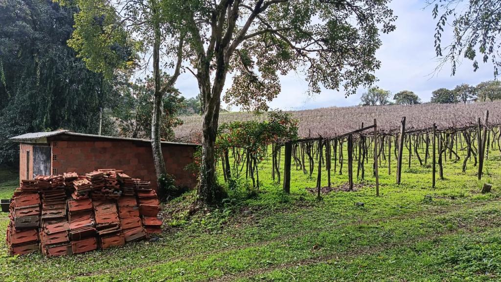 ÁREA DE TERRAS ART1329783