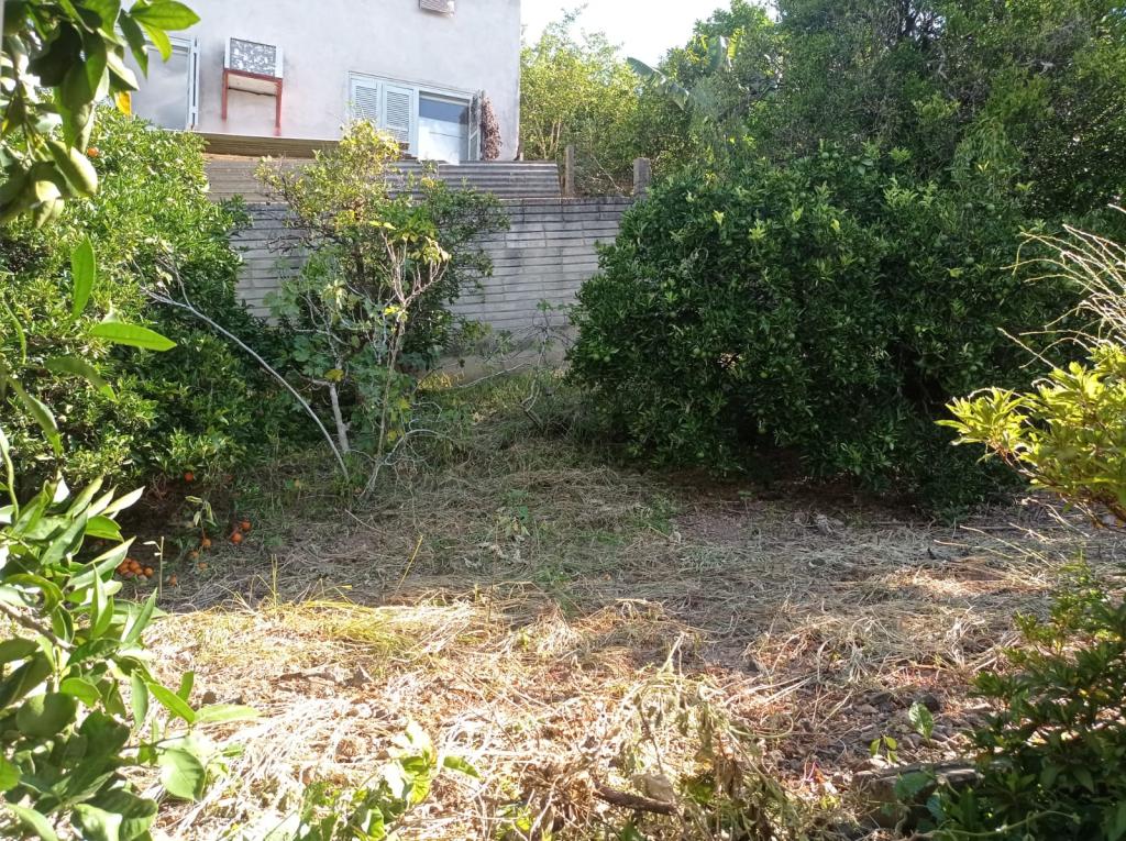 CASA CAS1329155