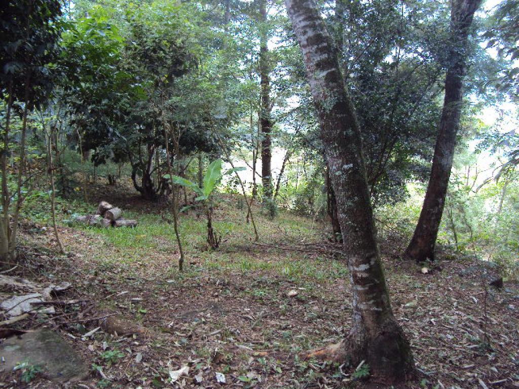 CHÁCARA CHA1329330