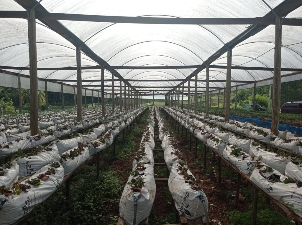 ÁREA DE TERRAS ART1328955