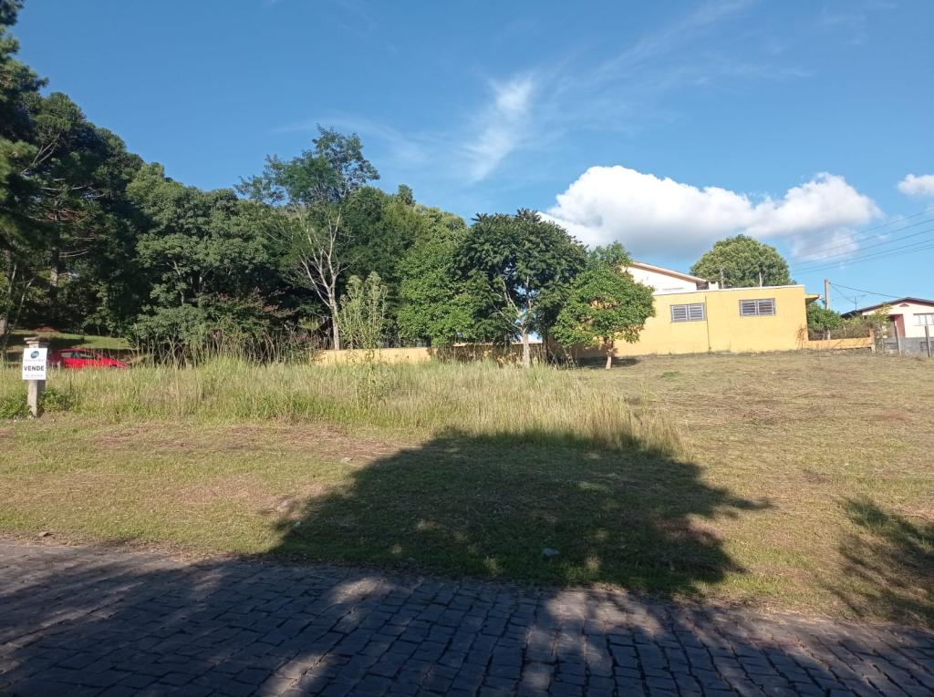 TERRENO - TER1329290