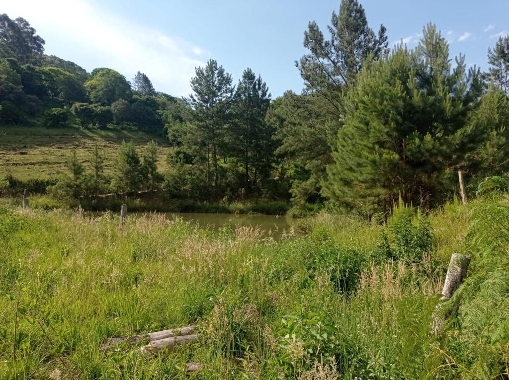 ÁREA DE TERRAS ART1328955