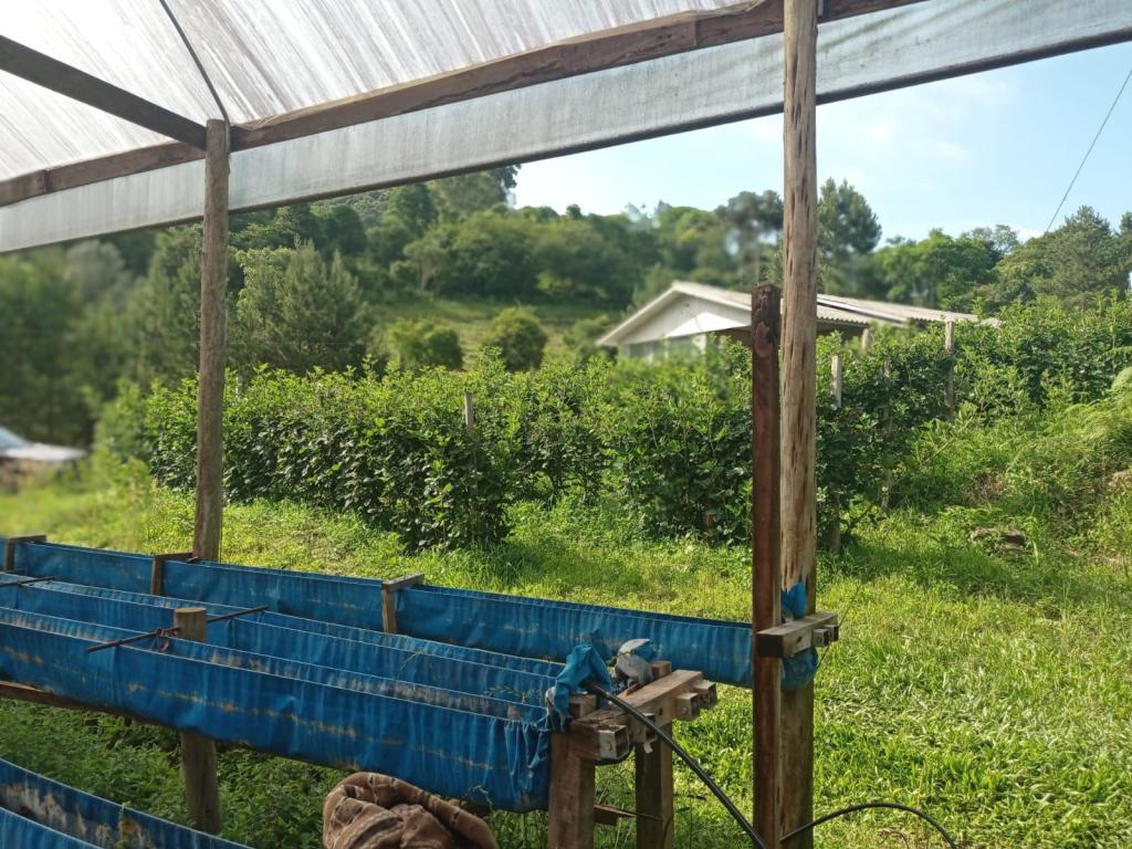 ÁREA DE TERRAS ART1328955