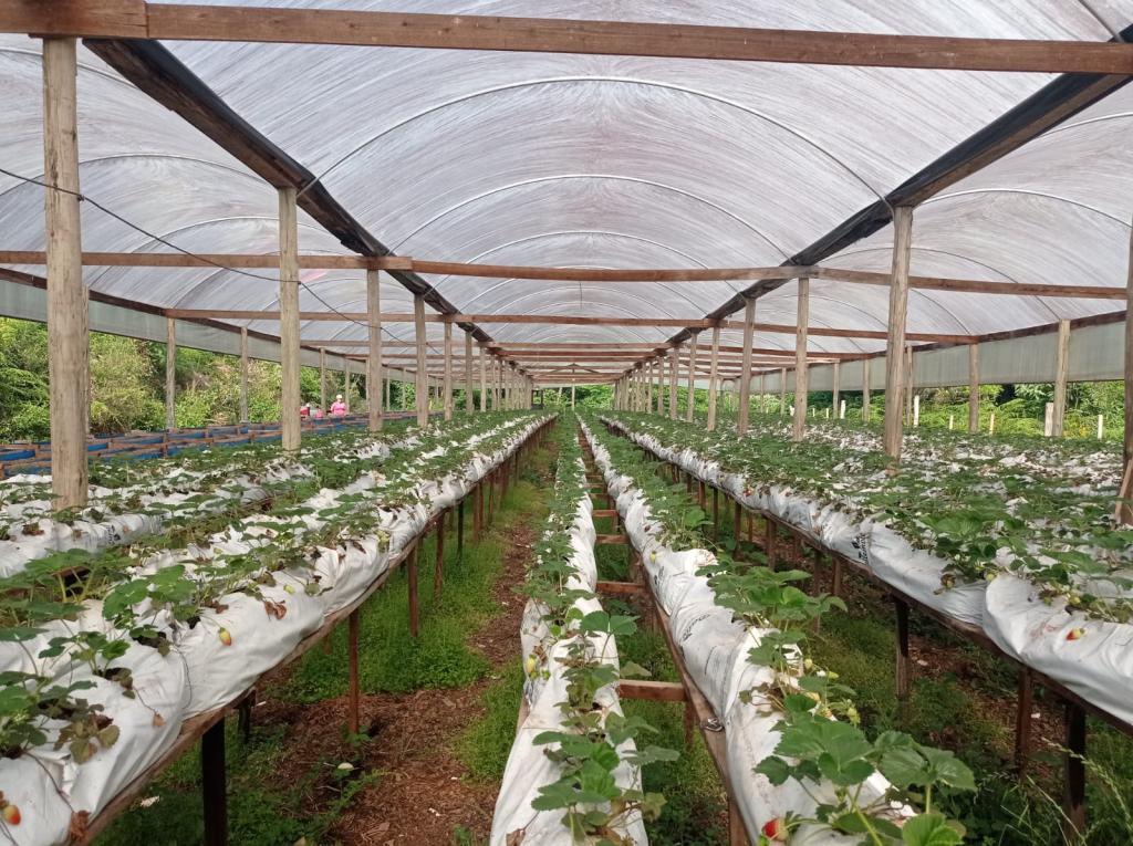 ÁREA DE TERRAS ART1328955