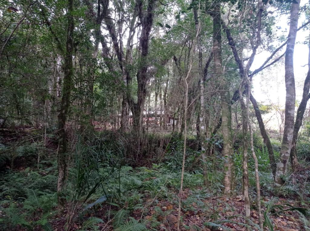CHÁCARA CHA1321528