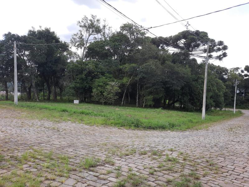 TERRENO - Coroados, Nova Prata - RS